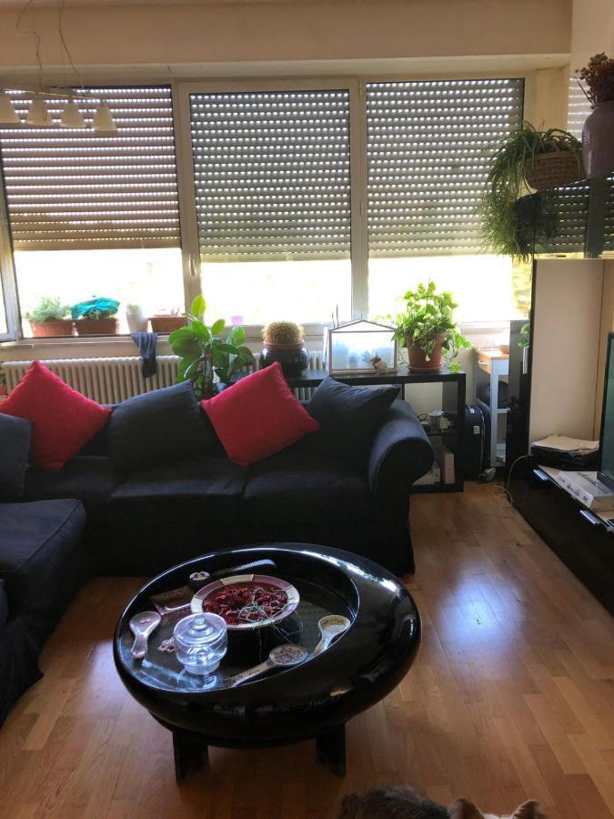 Baci Da Roma Apartment Екстериор снимка